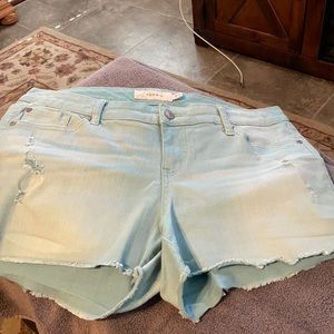 Torrid raw edge shorts